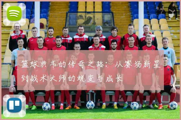 篮球典韦的传奇之路：从赛场新星到战术大师的蜕变与成长
