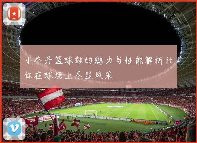 小乔丹篮球鞋的魅力与性能解析让你在球场上尽显风采