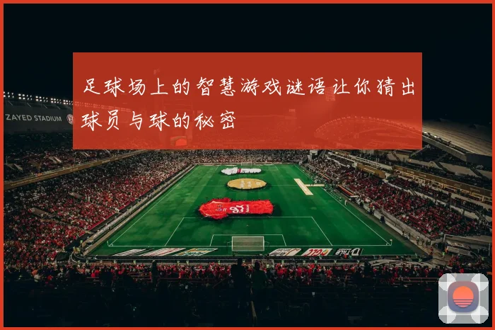 足球场上的智慧游戏谜语让你猜出球员与球的秘密