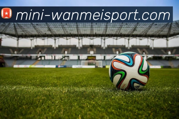 完美手机版平台生态图