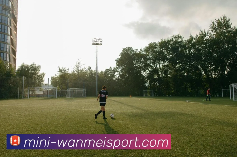 完美手机版全站App